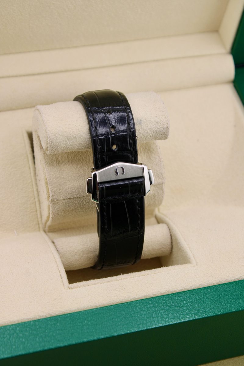 Omega Seamaster Aqua Terra 150M 220.13.41.21.03.001, photo 6 of 7